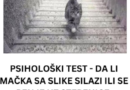 PSIHOLOŠKI TEST – DA LI MAČKA SA SLIKE SILAZI ILI SE PENJE UZ STEPENICE: Odgovor otkriva kakva ste ličnost zapravo!