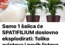 Samo 1 šalica će SPATIFILIUM doslovno eksplodirati: Toliko cvjetova i novih listova još niste vidjeli!