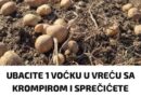 UBACITE 1 VOĆKU U VREĆU SA KROMPIROM I SPRIJEČIĆETE KLIJANJE: Malo ko je znao da se u tome krije TRIK