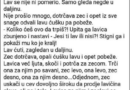 VIC DANA: Lavica i Zeko