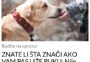 ZNATE LI ŠTA ZNAČI AKO VAM PAS LIŽE RUKU: Nije ljubav, evo šta želi da vam poruči