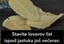 Stavite lovorov list ispod jastuka još večeras: Ujutru ćete biti iznenađeni efektom