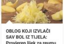 OBLOG KOJI IZVLAČI SAV BOL IZ TIJELA: Provjeren lijek za reumu, išijas, giht i artritis…