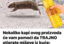 Nekoliko kapi ovog proizvoda će vam pomoći da TRAJNO otjerate miševe iz kuće: Slijedite OVU proceduru!