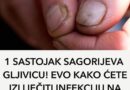 1 SASTOJAK SAGORIJEVA GLJIVICE