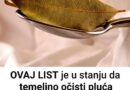 OVAJ LIST je u stanju da temeljno očisti pluća za samo 3 dana!!