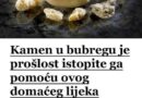 KAMEN U BUBREGU BIT ĆE PROŠLOST..ISTOPITE GA POMOĆU OVOG DOMAĆEG LIJEKA