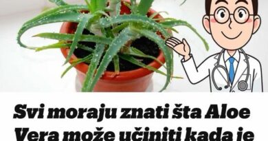 Svi moraju znati šta Aloe Vera može učiniti kada je stavite u zamrzivač: 12 SATI JE DOVOLJNO!