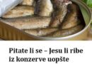 Pitate li se – Jesu li ribe iz konzerve uopšte zdrave? Evo odgovora!