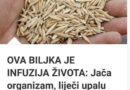 OVA BILJKA JE INFUZIJA ŽIVOTA: Jača organizam, liječi upalu pluća, podstiče čišćenje tijela od toksina i sluzi!