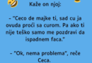 VIC DANA: Mujo i Ceca