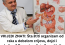 VRIJEDI ZNATI: Šta štiti organizam od raka u debelom crijevu, dojci i plućima? Donosimo listu 5 magičnih namirnica!