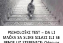 DA LI MAČKA SA SLIKE SILAZI ILI SE PENJE UZ STEPENICE: Odgovor otkriva kakva ste ličnost zapravo!