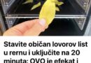 STAVITE OBIČAN LIST LOVORA U RERNU I UKLJUČITE JE NA 20 MINUTA