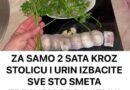 ZA SAMO 2 SATA KROZ STOLICU I URIN IZBACITE SVESTO SMETA ZDRAVOM ORGANIZMU! Univerzalni LIJEK!