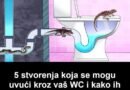 5 životinja koja se mogu uvući kroz vaš WC i kako ih zaustaviti