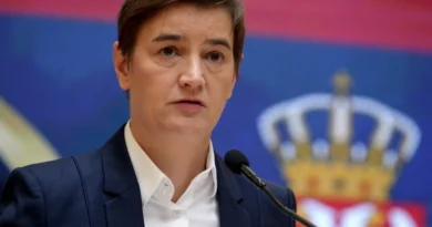 Brnabić: Ekstremisti napali i studente u blokadama i studente u Pionirskom parku