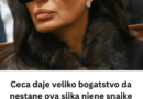 Ceca daje veliko bogatstvo da nestane ova slika njene snajke Bogdane, tek sada saznali šta je Veljko oženio: Srozala ih, pa ona je tranđ0?